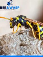 Wasp Removal Paddington image 3